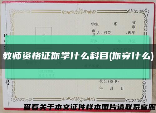 教師資格證你學什么科目(你穿什么)縮略圖
