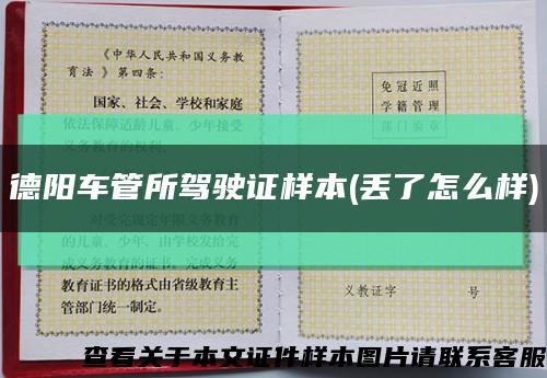 德陽車管所駕駛證樣本(丟了怎么樣)縮略圖