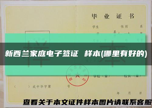 新西蘭家庭電子簽證 樣本(哪里有好的)縮略圖