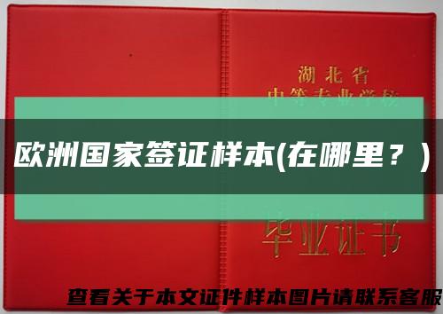 歐洲國家簽證樣本(在哪里？)縮略圖