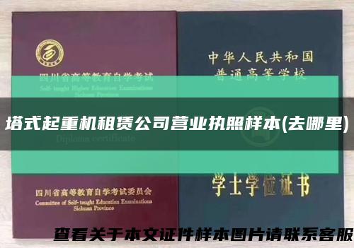 塔式起重機租賃公司營業執照樣本(去哪里)縮略圖