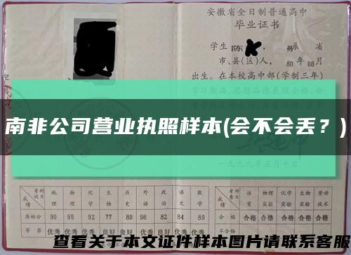 南非公司營業執照樣本(會不會丟？)縮略圖