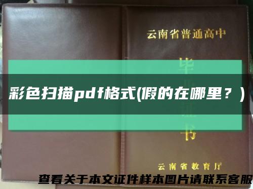 彩色掃描pdf格式(假的在哪里？)縮略圖