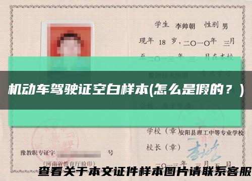機動車駕駛證空白樣本(怎么是假的？)縮略圖