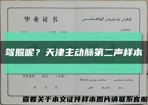 駕照呢？天津主動脈第二聲樣本縮略圖