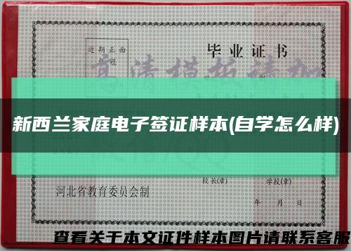 新西蘭家庭電子簽證樣本(自學怎么樣)縮略圖