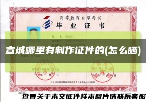 宣城哪里有制作證件的(怎么曬)縮略圖