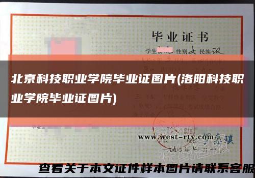 北京科技職業學院畢業證圖片(洛陽科技職業學院畢業證圖片)縮略圖