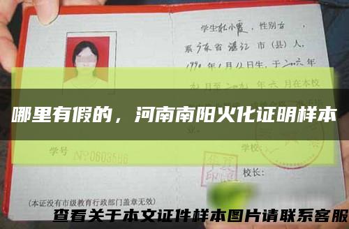 哪里有假的，河南南陽火化證明樣本縮略圖