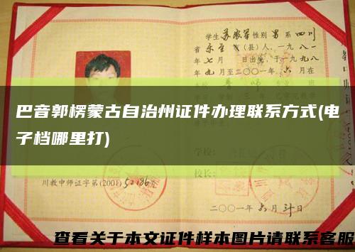 巴音郭楞蒙古自治州證件辦理聯系方式(電子檔哪里打)縮略圖