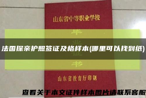 法國探親護照簽證及格樣本(哪里可以找到紙)縮略圖