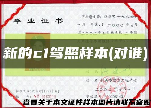 新的c1駕照樣本(對誰)縮略圖