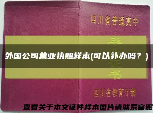 外國公司營業執照樣本(可以補辦嗎？)縮略圖