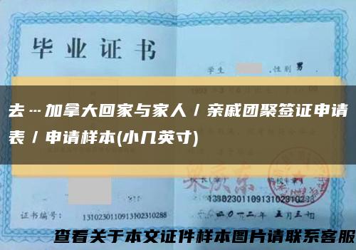 去…加拿大回家與家人／親戚團聚簽證申請表／申請樣本(小幾英寸)縮略圖