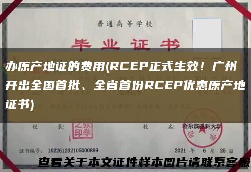 辦原產地證的費用(RCEP正式生效！廣州開出全國首批、全省首份RCEP優惠原產地證書)縮略圖