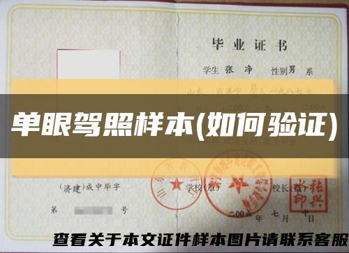 單眼駕照樣本(如何驗證)縮略圖