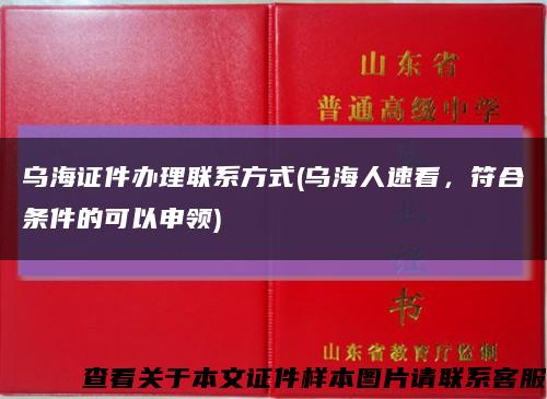 烏海證件辦理聯系方式(烏海人速看，符合條件的可以申領)縮略圖