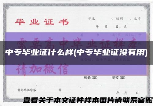 中專畢業證什么樣(中專畢業證沒有用)縮略圖
