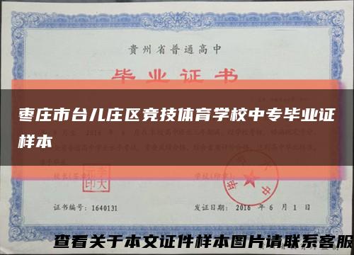 棗莊市臺兒莊區競技體育學校中專畢業證樣本縮略圖