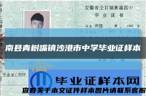 南縣青樹嘴鎮沙港市中學畢業證樣本縮略圖