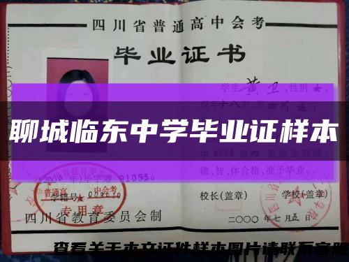 聊城臨東中學畢業證樣本縮略圖