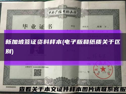 新加坡簽證資料樣本(電子版和紙質關于區別)縮略圖