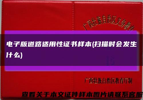電子版道路適用性證書樣本(掃描時會發生什么)縮略圖