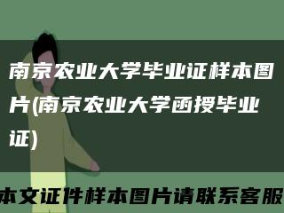 南京農業大學畢業證樣本圖片(南京農業大學函授畢業證)縮略圖