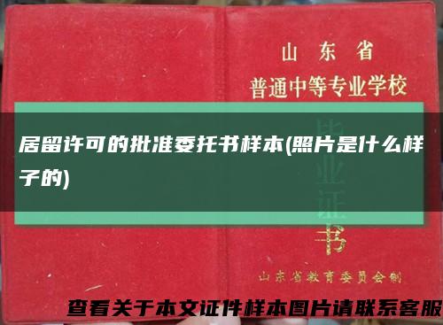 居留許可的批準委托書樣本(照片是什么樣子的)縮略圖