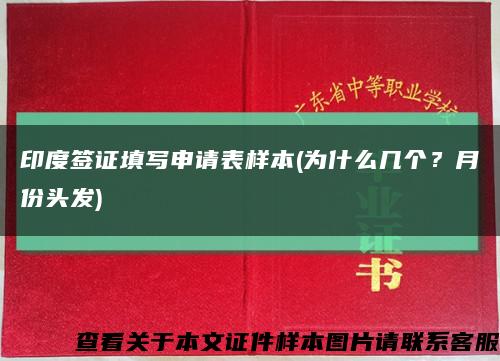 印度簽證填寫申請表樣本(為什么幾個？月份頭發)縮略圖
