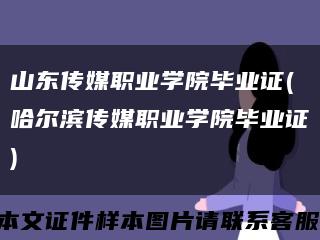 山東傳媒職業學院畢業證(哈爾濱傳媒職業學院畢業證)縮略圖