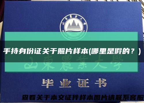 手持身份證關于照片樣本(哪里是假的？)縮略圖
