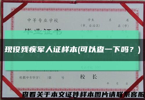 現役殘疾軍人證樣本(可以查一下嗎？)縮略圖
