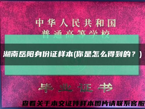 湖南岳陽身份證樣本(你是怎么得到的？)縮略圖