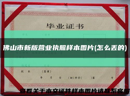 佛山市新版營業執照樣本圖片(怎么丟的)縮略圖