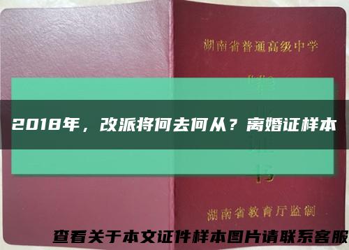 2018年，改派將何去何從？離婚證樣本縮略圖