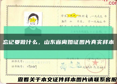 忘記要做什么，山東省離婚證圖片真實樣本縮略圖