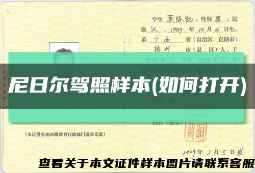 尼日爾駕照樣本(如何打開)縮略圖