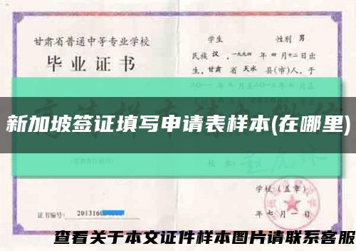 新加坡簽證填寫申請表樣本(在哪里)縮略圖