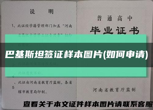 巴基斯坦簽證樣本圖片(如何申請)縮略圖