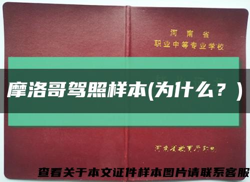 摩洛哥駕照樣本(為什么？)縮略圖