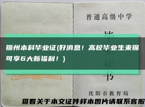 錦州本科畢業證(好消息！高校畢業生來錦可享6大新福利！)縮略圖
