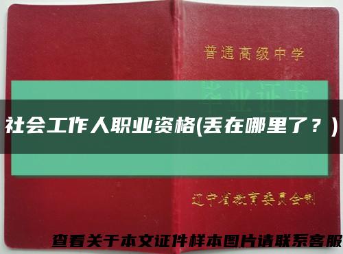 社會工作人職業資格(丟在哪里了？)縮略圖