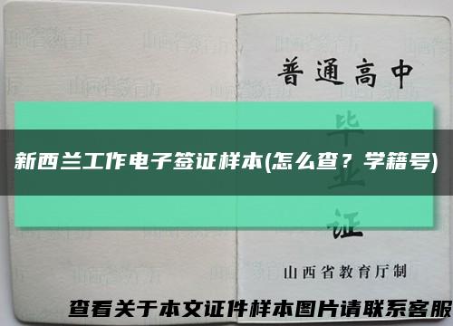 新西蘭工作電子簽證樣本(怎么查？學籍號)縮略圖