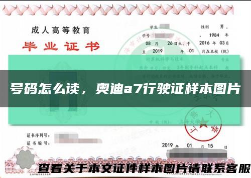 號碼怎么讀，奧迪a7行駛證樣本圖片縮略圖