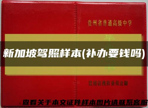 新加坡駕照樣本(補辦要錢嗎)縮略圖