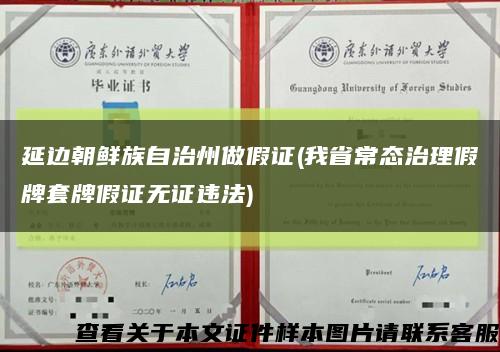 延邊朝鮮族自治州做假證(我省常態治理假牌套牌假證無證違法)縮略圖