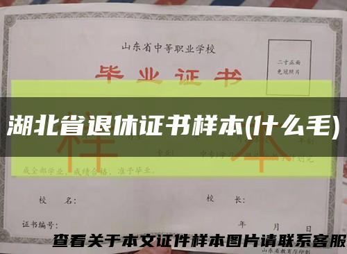 湖北省退休證書樣本(什么毛)縮略圖