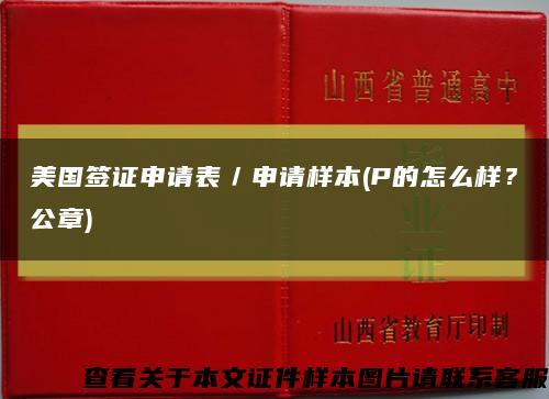 美國簽證申請表／申請樣本(P的怎么樣？公章)縮略圖
