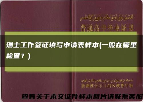 瑞士工作簽證填寫申請表樣本(一般在哪里檢查？)縮略圖